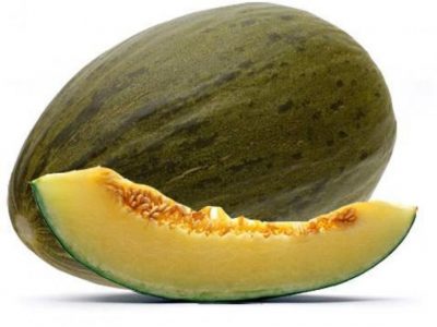 melon-piel-de-sapo-1024x768